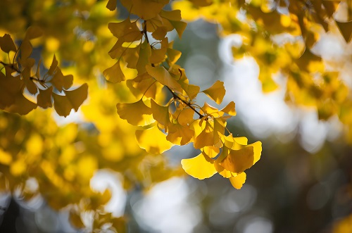 立秋｜萬(wàn)物有時(shí)，生態(tài)有序&mdash;&mdash;與自然共赴一場(chǎng)「秋收之約」