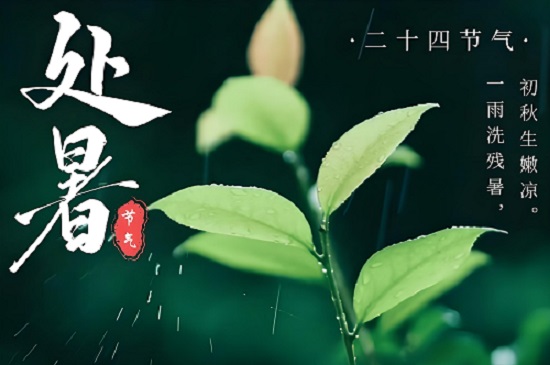 處暑：夏日的謝幕，秋意的序曲